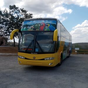 SCANIA – PARADISO – 2007 – cod. 6317