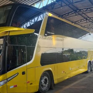 SCANIA – LD – 2019 – 6557