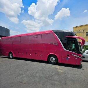 SCANIA – PARADISO – 2011/12 – 6568