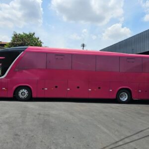 SCANIA – PARADISO – 2011/12 – 6568