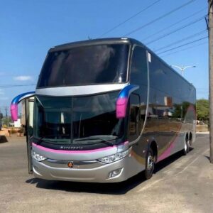 SCANIA – LD – 2010/11 – 6736