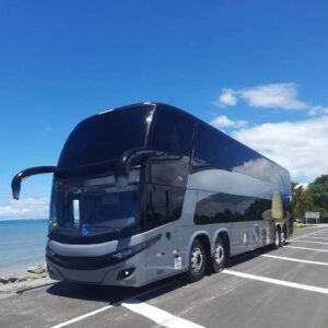 SCANIA – DD – 2019/19 – 6784