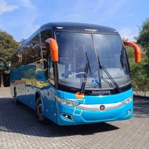 SCANIA – PARADISO – 2009 – 6840