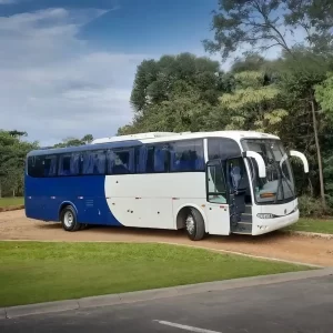 SCANIA – PARADISO – 2007 – RF. 7068