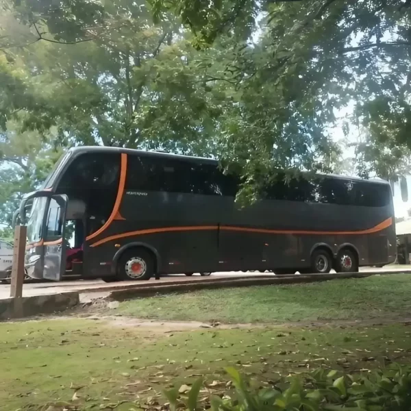 SCANIA - LD - 2008/09 - RF. 7084