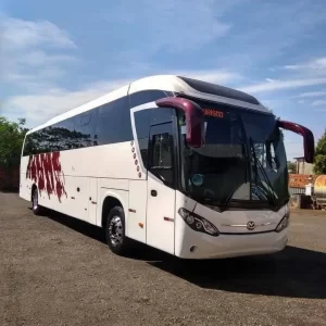 SCANIA – MASCARELLO – 2014 – RF. 7133