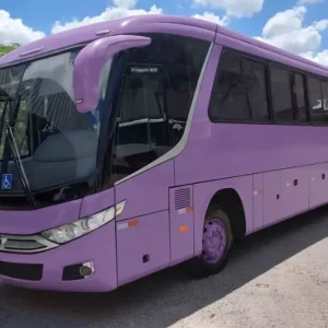 M.BENZ – VIAGGIO – 2013 – RF. 7157